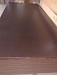 Berken Betonplex glad 18mm 1530x3050mm