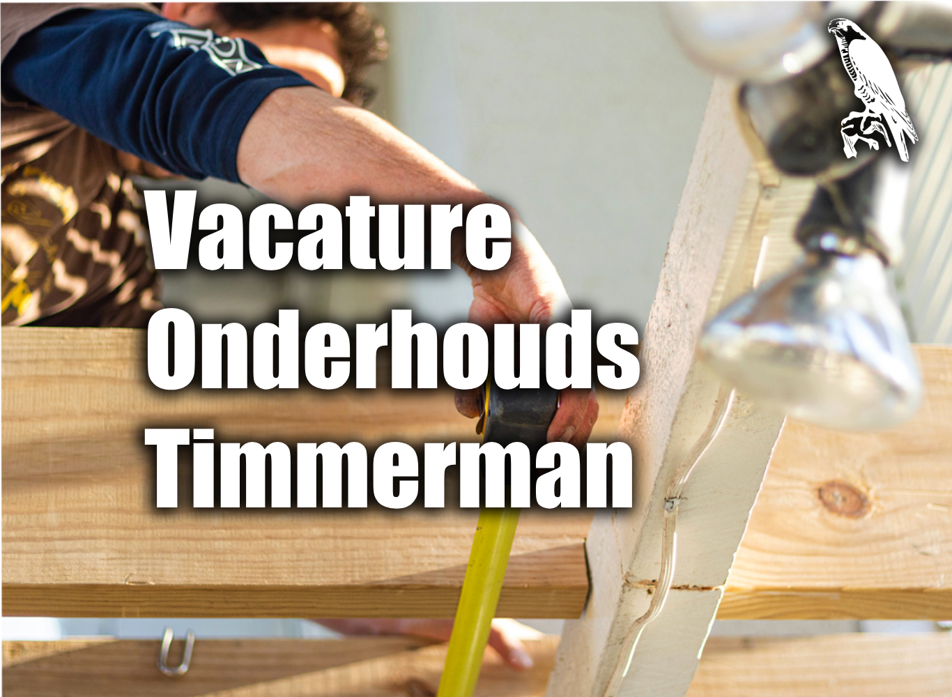 Onderhouds-timmerman